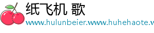 纸飞机 歌